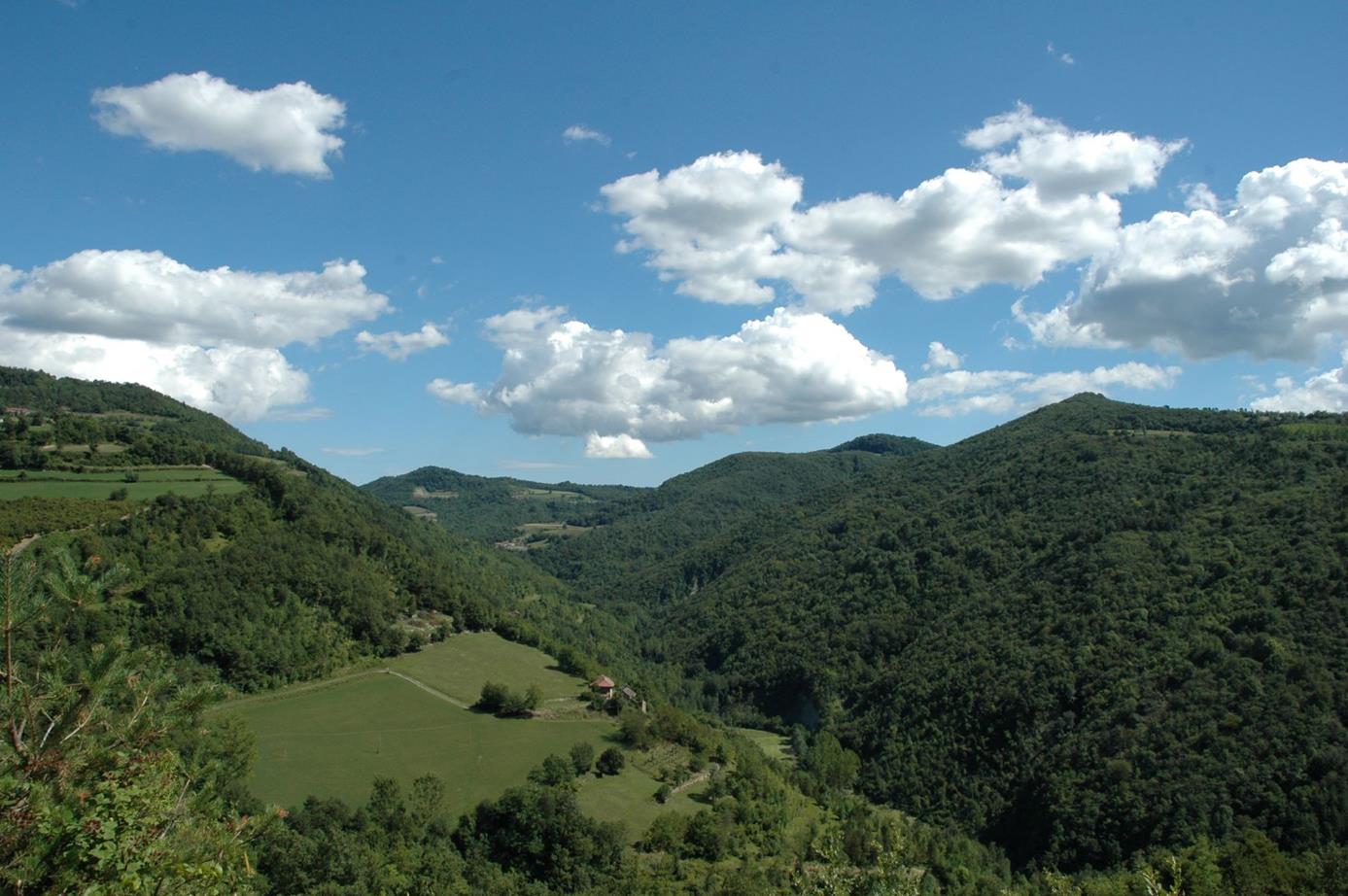 Tavolo Tecnico Territoriale 